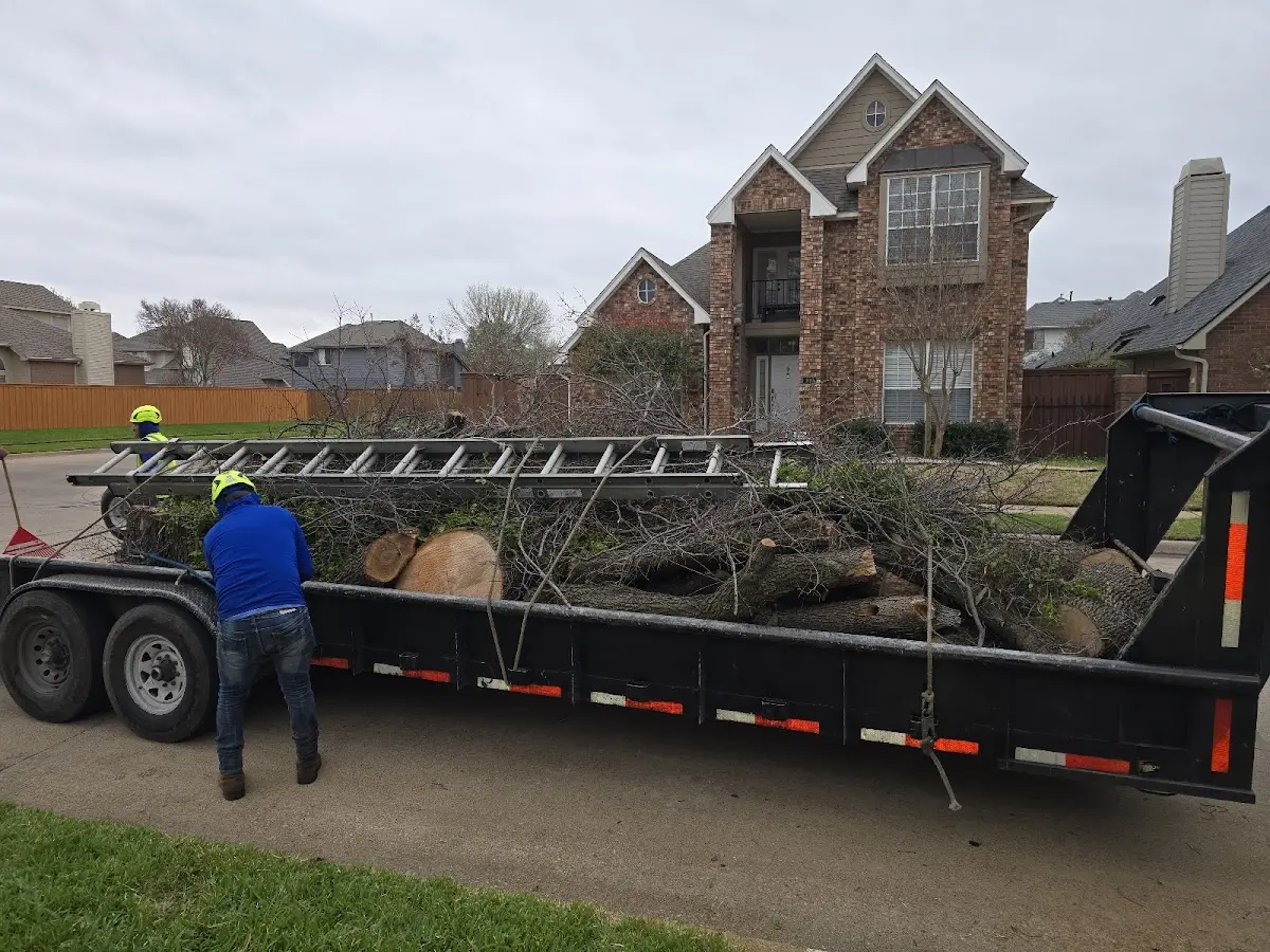 Expert Tree Pest Control with proper safety equipment in East Elmhurst